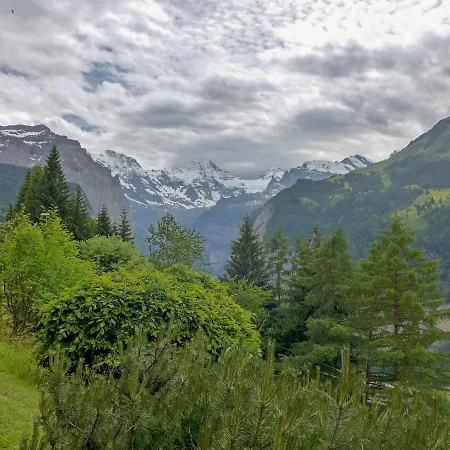 Appartement Primula By Interhome Wengen
