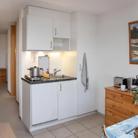 Primula Apt- B By Interhome * Wengen