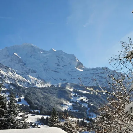 Apartamento Primula Apt- B By Interhome *